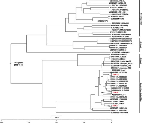 Bayesian Maximum Clade Credibility Phylogenetic Tree Based On The