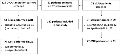 Occipital Cortical Calcifications In Cerebral Amyloid Angiopathy Stroke