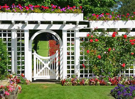 Beautiful Garden Screening Ideas For 2024 Checkatrade