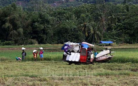 Bps Catat Nilai Tukar Petani Gabungan Provinsi Sulawesi Selatan Pada