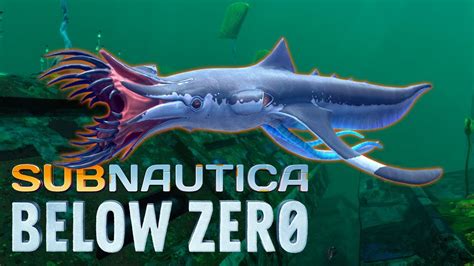 Squidshark Subnautica Below Zero Youtube