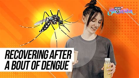 Dengue Fever Symptoms And Prevention Foods To Recover Faster From Dengue Fever Expert S