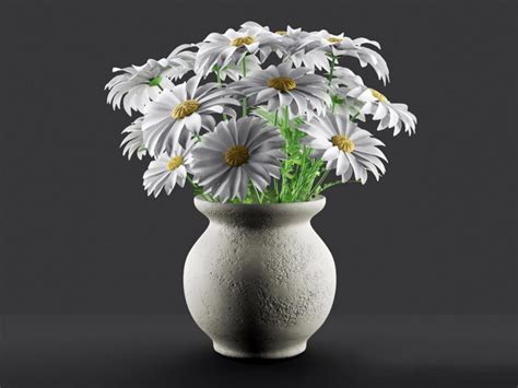 Bouquet Of Daisies In Vase D Model House Plants