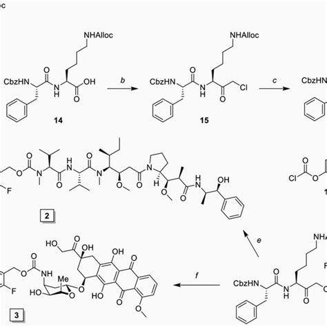 Scheme Synthesis Of Inhibitory Prodrug Ipd Mmae And Ipd Dox