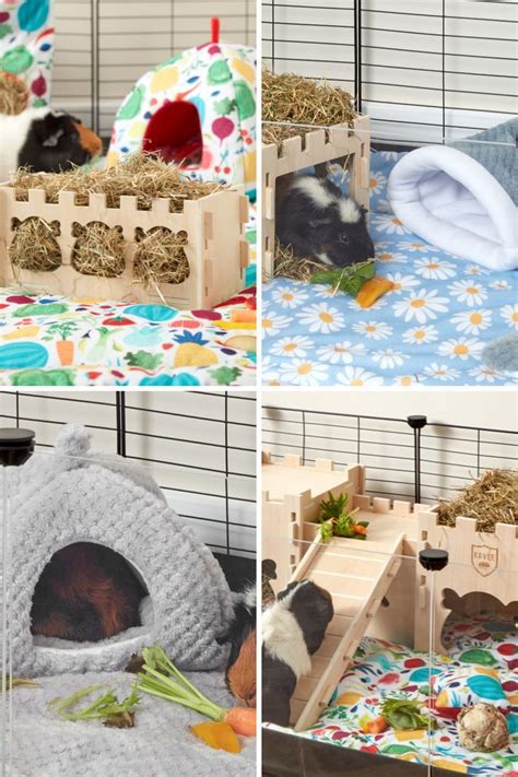 The Best Cages For Guinea Pigs Artofit