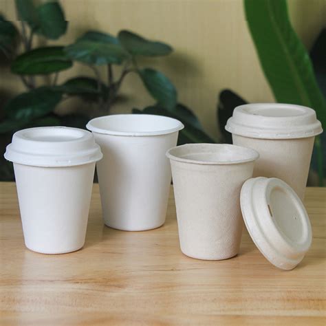 China Biodegradable Paper Coffee Cups Wholesale Tuobo Manufacturer