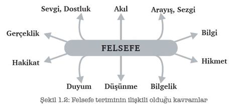 Felsefe Nedir Felsefenin Anlamı Nedir Felsefeye Giriş Felsefe Gen TR