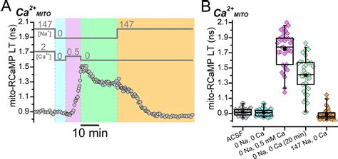 Figures And Data In The Na K Pump Dominates Control Of Glycolysis In