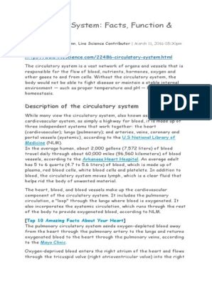 Ekg examples pdf electrocardiography cardiovascular system – Artofit