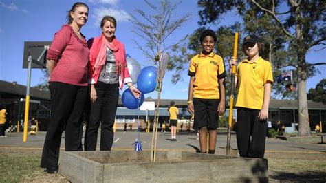 Seven Hills Public School Reached 60 Years Of Educating Western Sydney