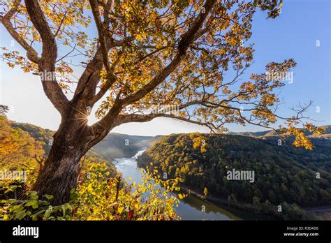 Sunrise Filtering Into The New River Gorge At Hawks Nest State Park In Ansted West Virginia