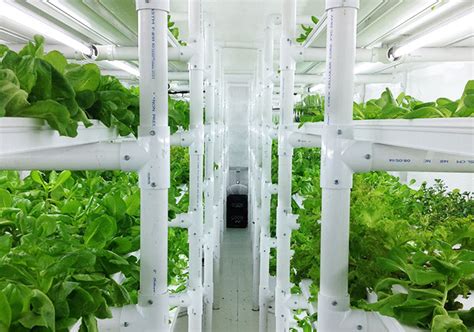 Cropbox Hydroponic Shipping Container Farm Inhabitat Green Design