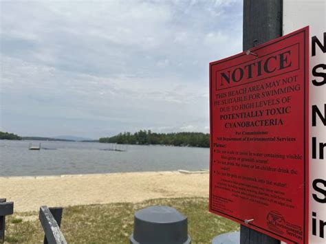 Concord Monitor Algae Bloom Warnings Issued Along Lake Winnipesaukee