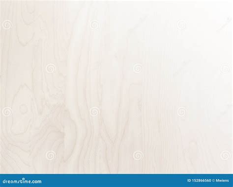 Subtle White Birch Wood Grain Background Surface Stock Photo Image Of