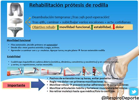 Rehabilitaci N Pr Tesis De Rodilla Ejercicios Y Consejos Pr Cticos