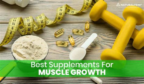 Best Supplements For Muscle Growth Naturaltein