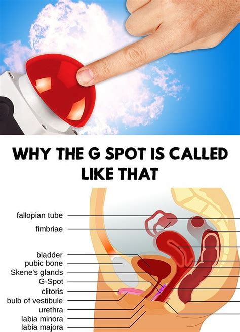 Have You Ever Wondered Why The Famous G Spot Is Called Like That Find Out Why The G Spot Is