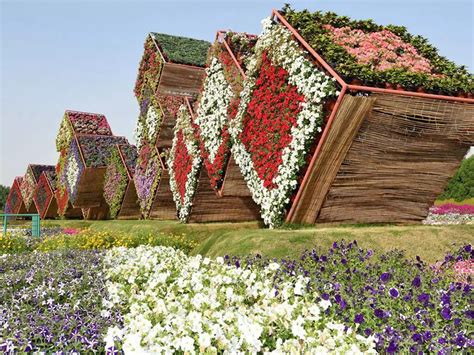 Flora And Fauna Of Dubai Butterfly Garden And Miracle Garden Tour