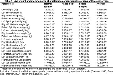 Table From Biometry Of Male Genitalia And Internal Organ