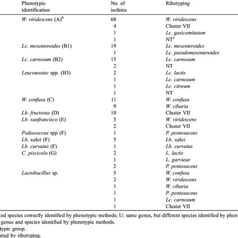 Phylogenetic Tree Of Lactic Acid Bacteria Isolated From Morcilla De