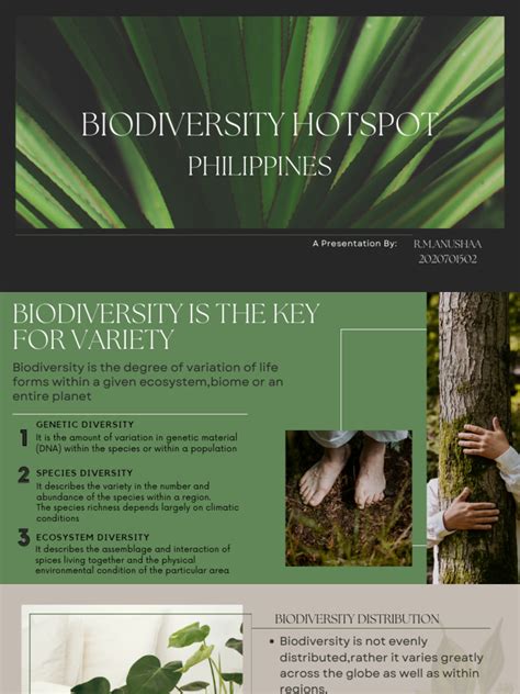 Biodiversity Philippines Download Free Pdf Biodiversity Organisms