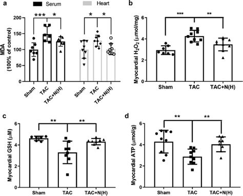 Exogenous Nadph Exerts A Positive Inotropic Effect And Enhances Energy