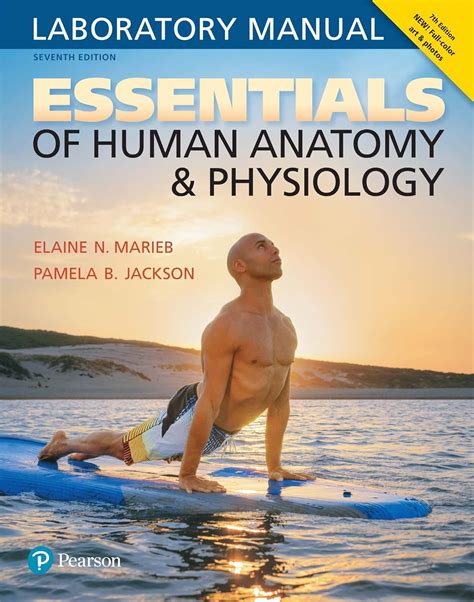 Amazon Essentials Of Human Anatomy Physiology Laboratory Manual