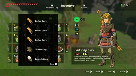 Stamina Recipes Zelda Breath Of The Wild | Deporecipe.co