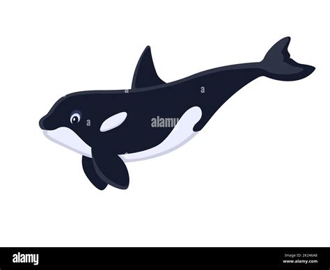 Cute Orca Whale Vector Illustration Killer Whale Cartoon Clipart Hot