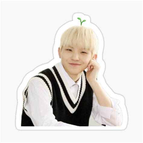 Seventeen Stickers For Sale Woozi Seventeen Stickers