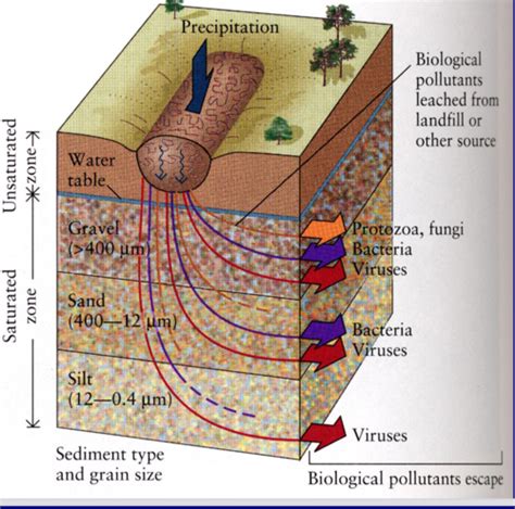 Hydrogeology Final Exam Review Topic Groundwater Pollution Flashcards