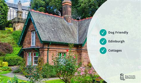 dog friendly cottages  edinburgh holiday accommodation