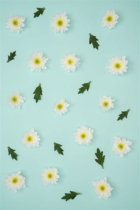 Minimalist Flower Wallpapers - Top Free Minimalist Flower Backgrounds ...