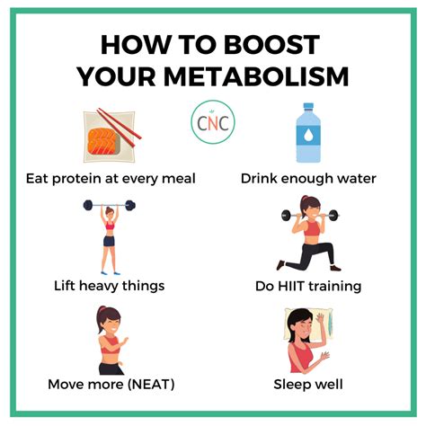 Signs Of A Weak Metabolism Carrots N Cake