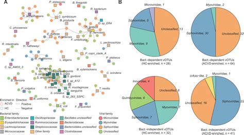 Structural Changes In The Gut Virome Of Patients With Atherosclerotic