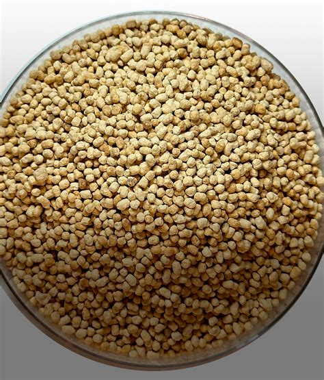 Sunflower Lecithin Granules Shiva Biochem Industries