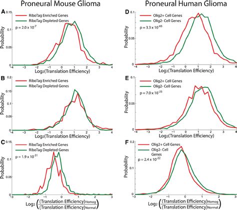 Translation Efficiency Analysis From Mouse And Human Ribosome