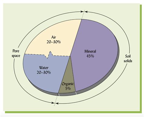 Solved Figure 121 Shows The Volume Composition Of A Loam