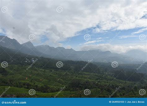 A Landscape View from Munnar Gap Road Stock Image - Image of nature, kerala: 264955103