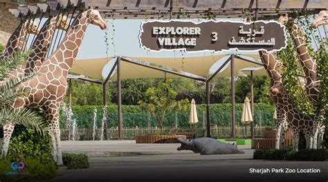 A Guide to Sharjah Desert Park- Sharjah Zoo | Blog