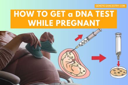 How To Get A Dna Test While Pregnant At Home Genetics