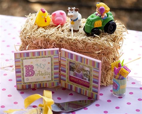 10 Gorgeous Petting Zoo Birthday Party Ideas 2024