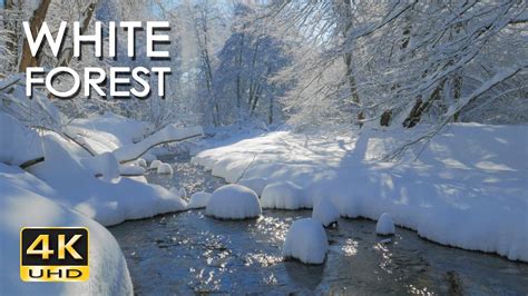 4K White Forest - Calming River Sounds - Snowy Woods - Relaxing Winter ...