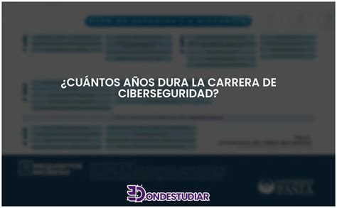 Cu Ntos A Os Dura La Carrera De Ciberseguridad Actualizado