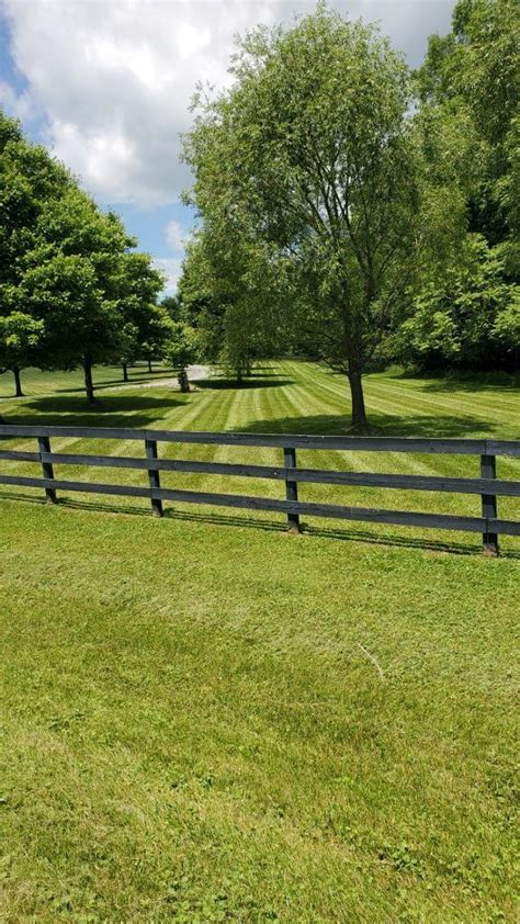 Gallery Jose Landscaping Llc