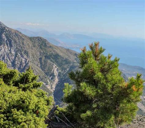 National Parks in Albania and Why You Must Visit - Elite Travel Albania