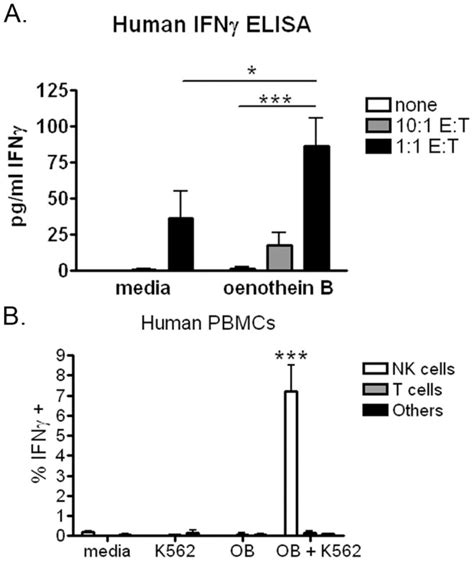 A Human PBMCs 105 cells well were treated with 20 µg ml oenothein B