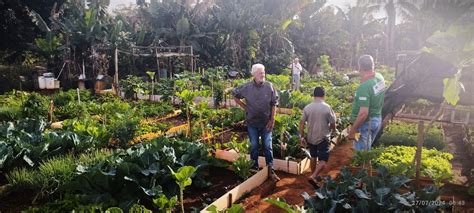 Hortas Comunit Rias De Birigui Sp Um Exemplo De Quintal Agroecol Gico