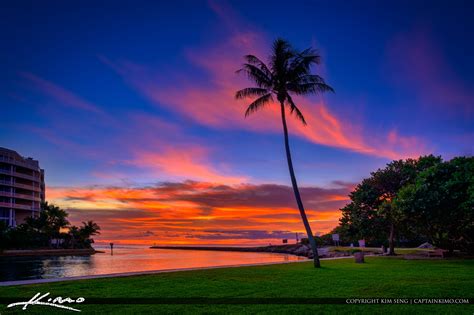 South Inlet Park Coconut Tree At Boca Raton Inlet Florida Hdr