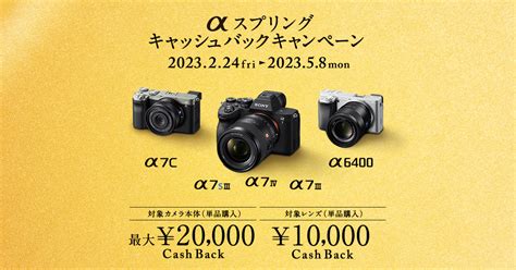 最大41 OFFクーポン ゆうた様専用 2023年2月1日午前中まで asakusa sub jp